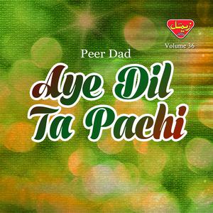 Album Aye Dil Ta Pachi, Vol. 36 from Peer Dad
