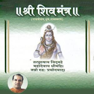 收听Suresh Wadkar的Om Namo Shivay歌词歌曲