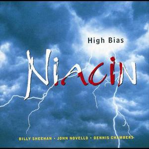 ดาวน์โหลดและฟังเพลง Birdland พร้อมเนื้อเพลงจาก Niacin