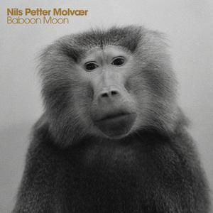 ดาวน์โหลดและฟังเพลง Coded พร้อมเนื้อเพลงจาก Nils Petter Molvaer