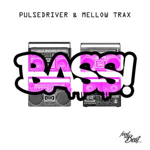 收聽Pulsedriver的Bass! (Pulsedriver Wobble Mix)歌詞歌曲