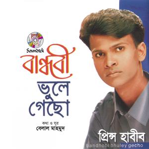 Listen to Aar Koto Kadabe Amay song with lyrics from Prince Habib