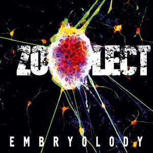ดาวน์โหลดและฟังเพลง Milkshake (Live) พร้อมเนื้อเพลงจาก Zoolect