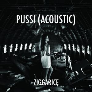 收聽ZiggaRice的Pussi (Acoustic Version) (Acoustic Version|Explicit)歌詞歌曲