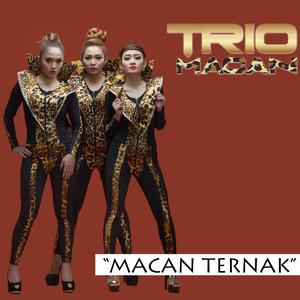 收聽Trio Macan的Macan Ternak歌詞歌曲
