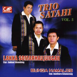 Trio Satahi, Vol. 5