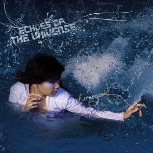 Album Echoes of the Universe oleh Homogenic