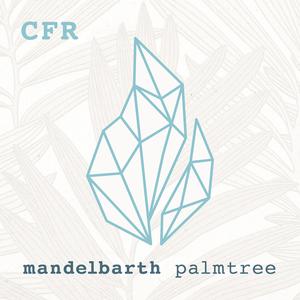 收聽Mandelbarth的Palmtree歌詞歌曲