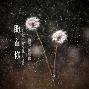 Dengarkan 盼着你 lagu dari Qu Yun Ke dengan lirik
