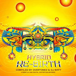 Various的专辑Hybrid Re-Birth