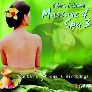 Balinese Traditional Massage & Spa, Vol. 3