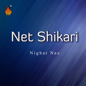 ดาวน์โหลดและฟังเพลง Tu Jo Mitha พร้อมเนื้อเพลงจาก Nighat Naz