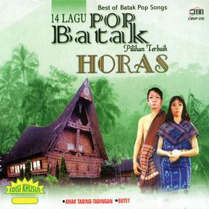 Various Artists的專輯14 Lagu Pop Batak Pilihan Terbaik: Horas