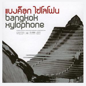 ดาวน์โหลดและฟังเพลง ความคิดถึง (BONUS TRACK) พร้อมเนื้อเพลงจาก แบงค็อก ไซโลโฟน