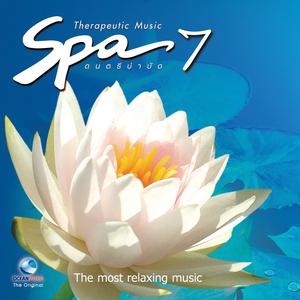 อัลบัม Spa Music ดนตรีบำบัด, Vol. 7 ศิลปิน หลี่ฮุย หลี่หยาง