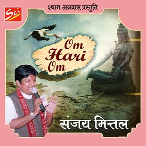 ดาวน์โหลดและฟังเพลง Sare Jag Ka Hai Wo Rakhwala พร้อมเนื้อเพลงจาก Sajay Mittal