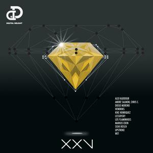 Album Digital Delight Presents XXV oleh Various Artists