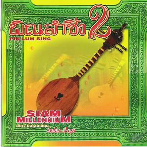 Album พิณลำซิ่ง, Vol. 2 from Siam Millennium