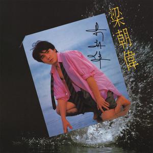 ดาวน์โหลดและฟังเพลง Dui Ni Zhao Mi พร้อมเนื้อเพลงจาก 梁朝伟