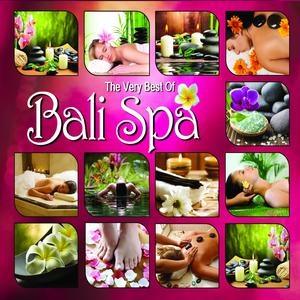 The Very Best of Bali Spa