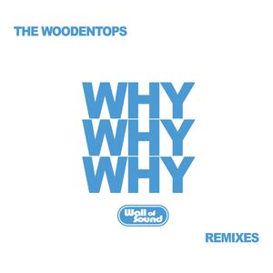 ดาวน์โหลดและฟังเพลง Why Why Why (A WTF Remix) พร้อมเนื้อเพลงจาก The Woodentops