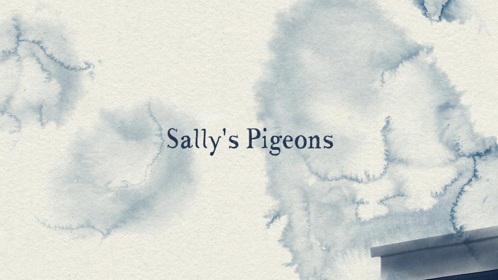 Sally's Pigeons