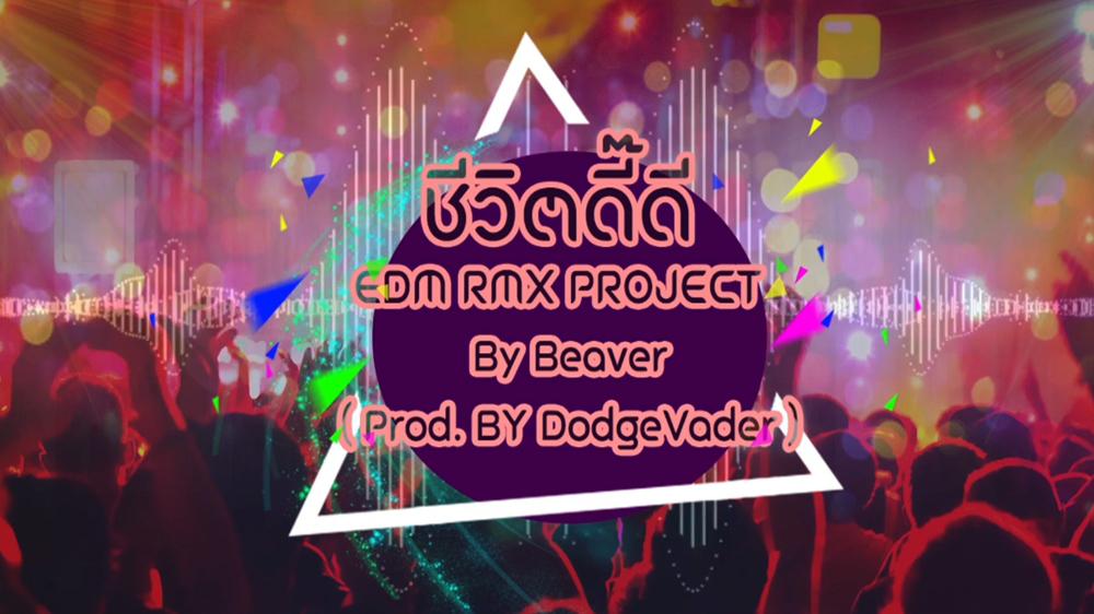 ชีวิตดี๊ดี (EDM RMX Project by Beaver) [MV]