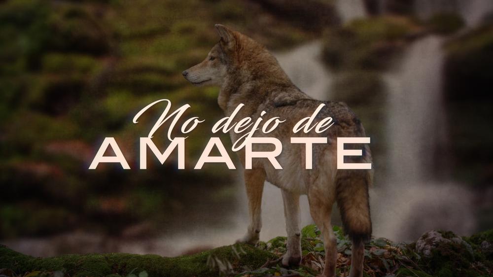 No Dejo De Amarte (LETRA)