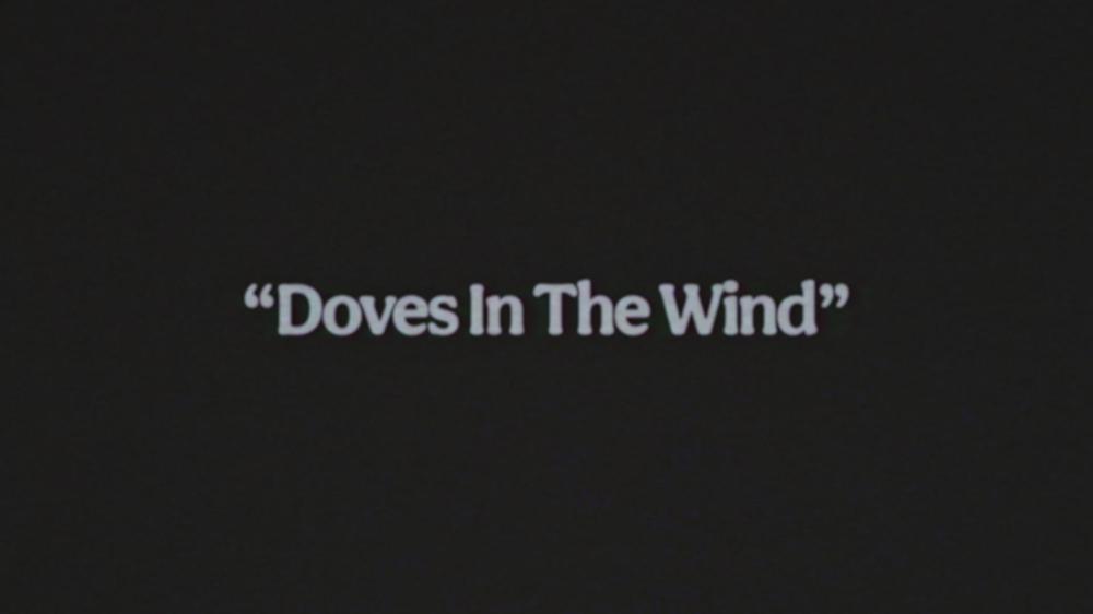 Doves In The Wind