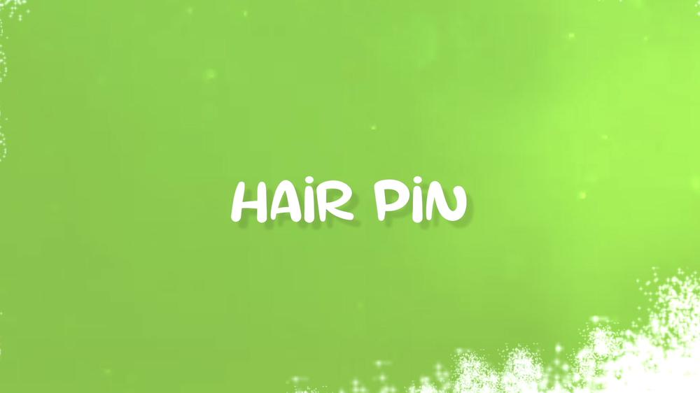 Hair Pin