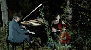 default video 1000x562 img