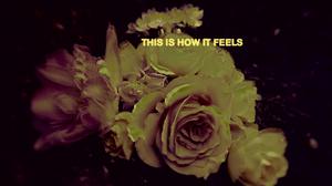 default video 1000x562 img