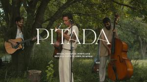 default video 1000x562 img