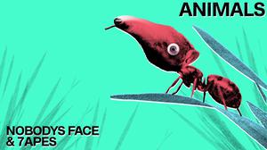 default video 1000x562 img