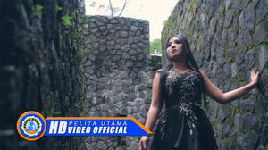 default video 1000x562 img