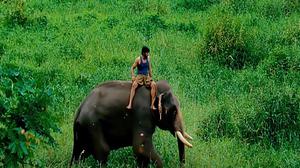 default video 1000x562 img