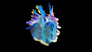 default video 1000x562 img