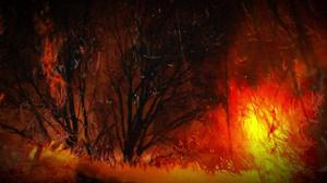 default video 1000x562 img