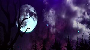 default video 1000x562 img