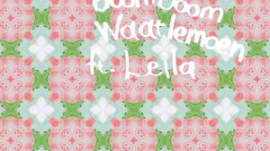 default video 1000x562 img