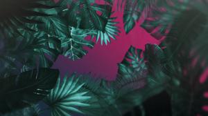 default video 1000x562 img