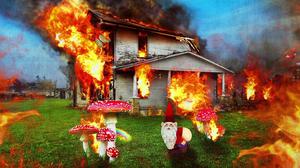 default video 1000x562 img