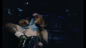 default video 1000x562 img