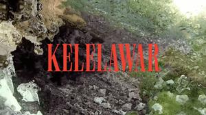 default video 1000x562 img