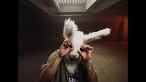 default video 1000x562 img