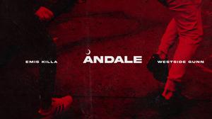 default video 1000x562 img