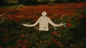 default video 1000x562 img