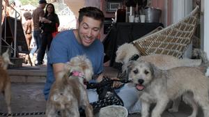 default video 1000x562 img