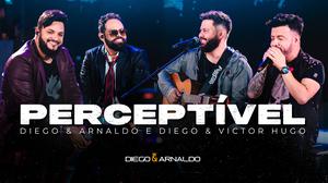 default video 1000x562 img