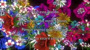 default video 1000x562 img